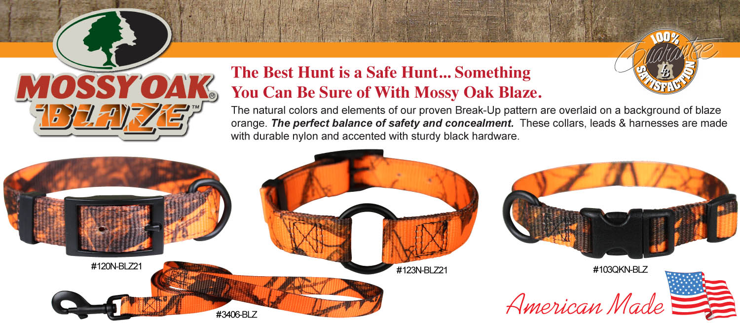 Omni pet collars cheap