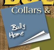 Bully Collars and Leads