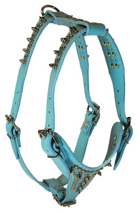 Baby Blue Signature Harness