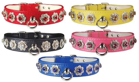 Leather Brothers Starburst Dog Collars