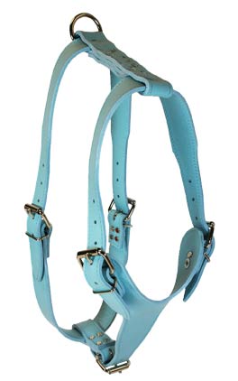 Baby Blue Signature Plain Leather Harness