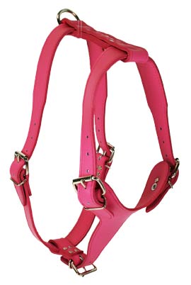 Pink Signature Plain Leather Harness