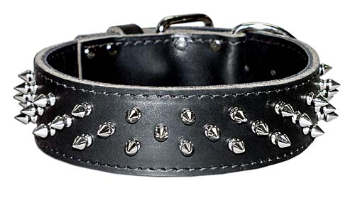 Bullmastiff leather dog collar with impressive columns of studs and spikes  [S59##1014 3 spikes+3 brass studs leather collar] : Bullmastiff dog  harness, Bullmastiff dog muzzle, Bullmastiff dog collar, Dog leashes